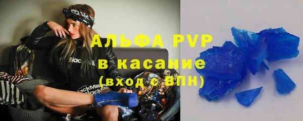 прущие грибы Бородино