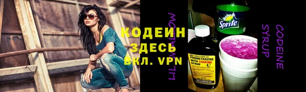 прущие грибы Бородино