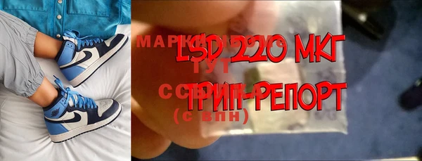 прущие грибы Бородино