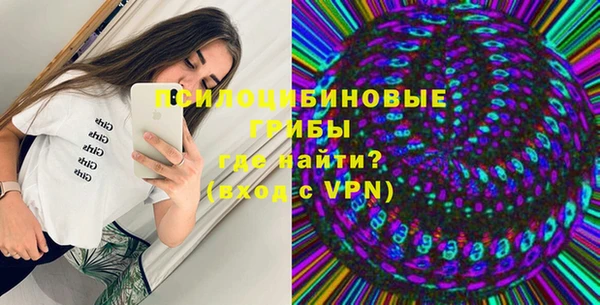 прущие грибы Бородино