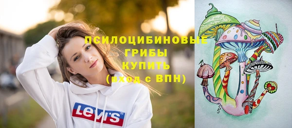 прущие грибы Бородино